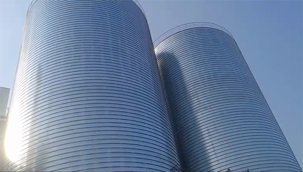 吴兴2座混凝土高架卷板仓